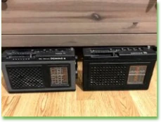Tesla Domino